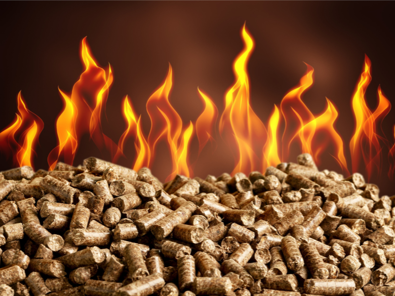 Biomass Energy Companies 3